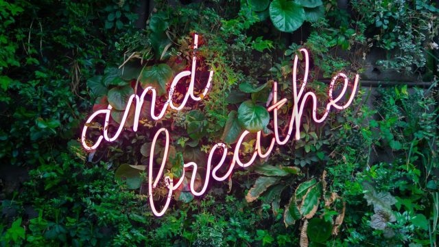 and breathe