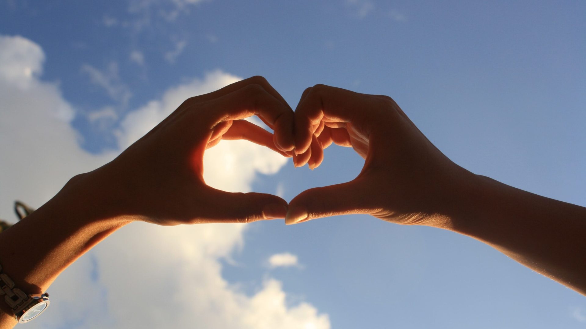 hands making heart hands making heart